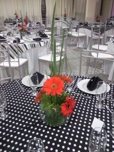 Arranjo com gérbera Arranjo com gérbera