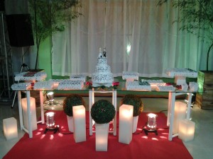 Casamento Andrea e Marcos