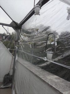 Casamento Mariana e Flávio